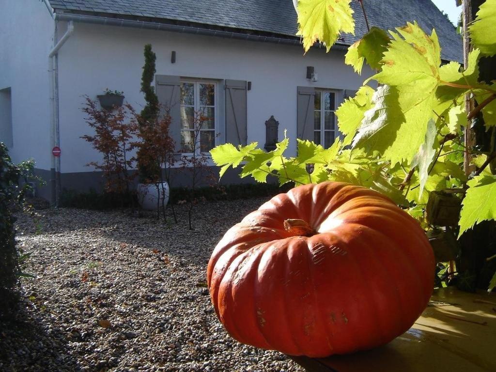 Gite Cottage D'Hamicourt Aux Portes De La Baie De Somme Eksteriør bilde